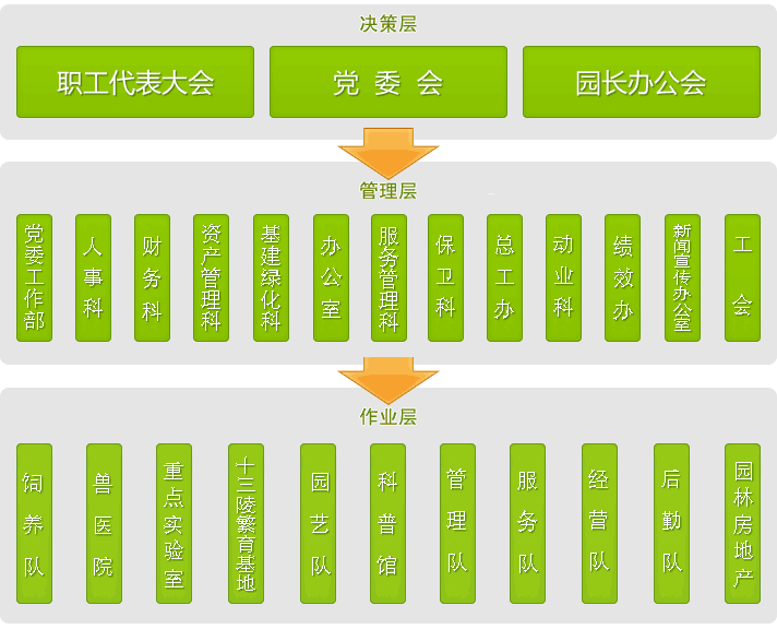 动物园结构图图片